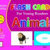Animals Flash Cards