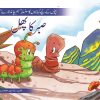 Sabr Ka Phal ( Hum Chand Tare )