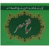 Fateh Misr