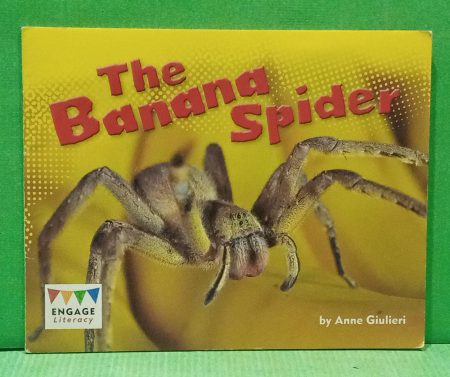the banana spider