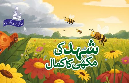 Shehad ki Makhi ka Kamaal