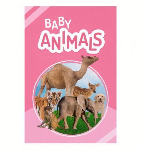 Baby Animals ( Qaiday )