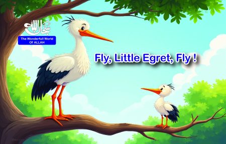 Fly Little Egret Fly