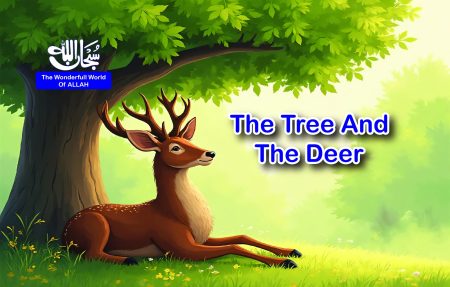 The tree and the Deer