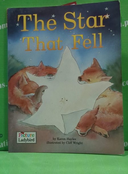 The star that fell