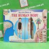 The human body