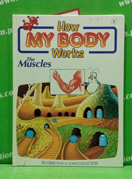 How my body workes the muscles