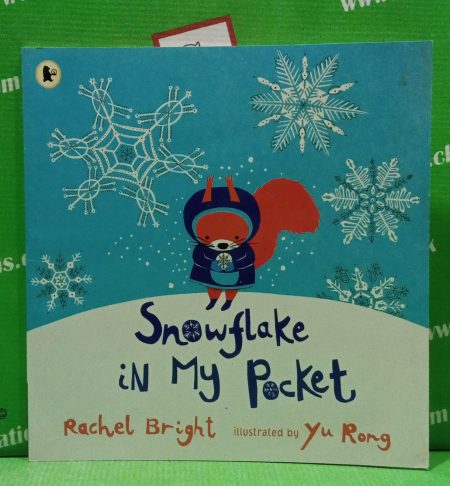 Snowflake in my pocket